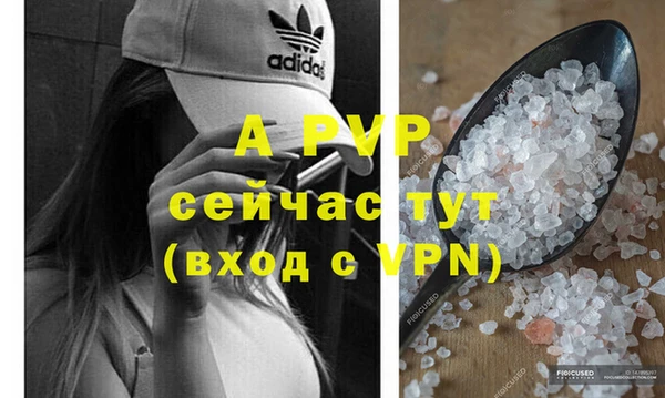 спайс Беломорск