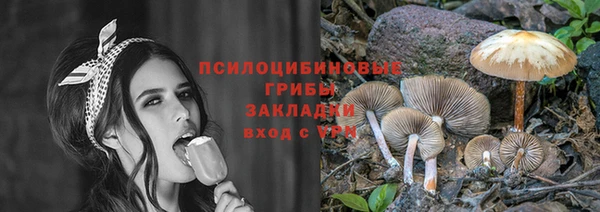 MESCALINE Белокуриха