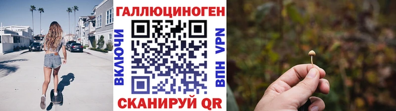 Псилоцибиновые грибы Cubensis  Ворсма 